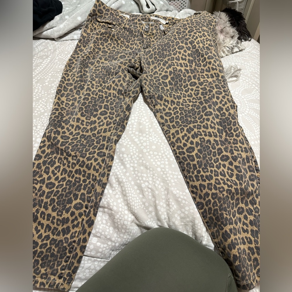 Torrid jeans